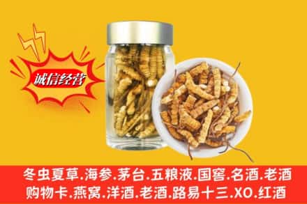 邯郸市成安回收散虫草