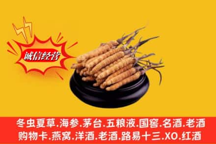 邯郸市成安名酒回收冬虫夏草.jpg